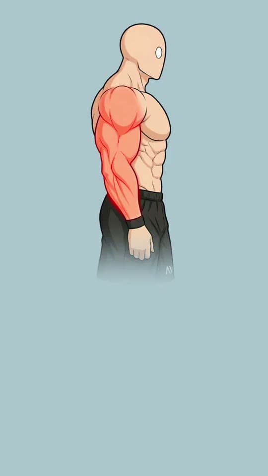 Alpha Workout