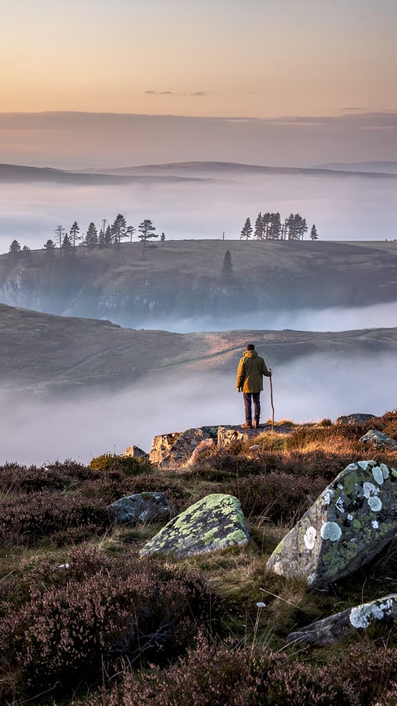 Misty Ridge Wanderer